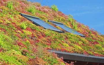 Quedgeley living roof systems